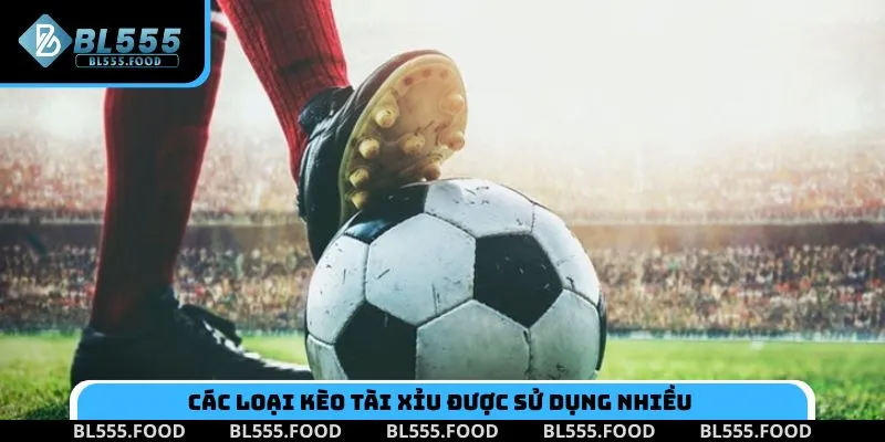 Các loại Kèo Tài Xỉu phổ biến khi dự đoán bóng đá